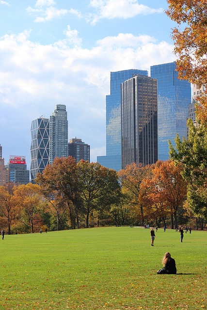 central park, new york, manhattan